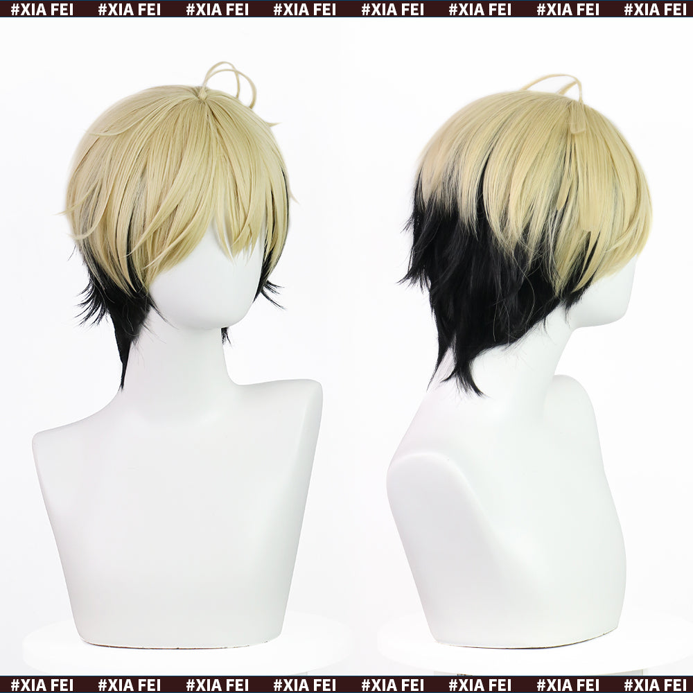 Xia Fie Cosplay Wig Anime Link Click