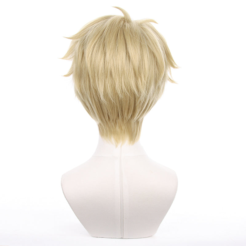 Anime Spy x Family Loid Forger Cosplay Wig